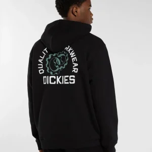 Payson pullover hoodie